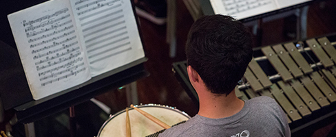 Photo of percussionist' back while playing.