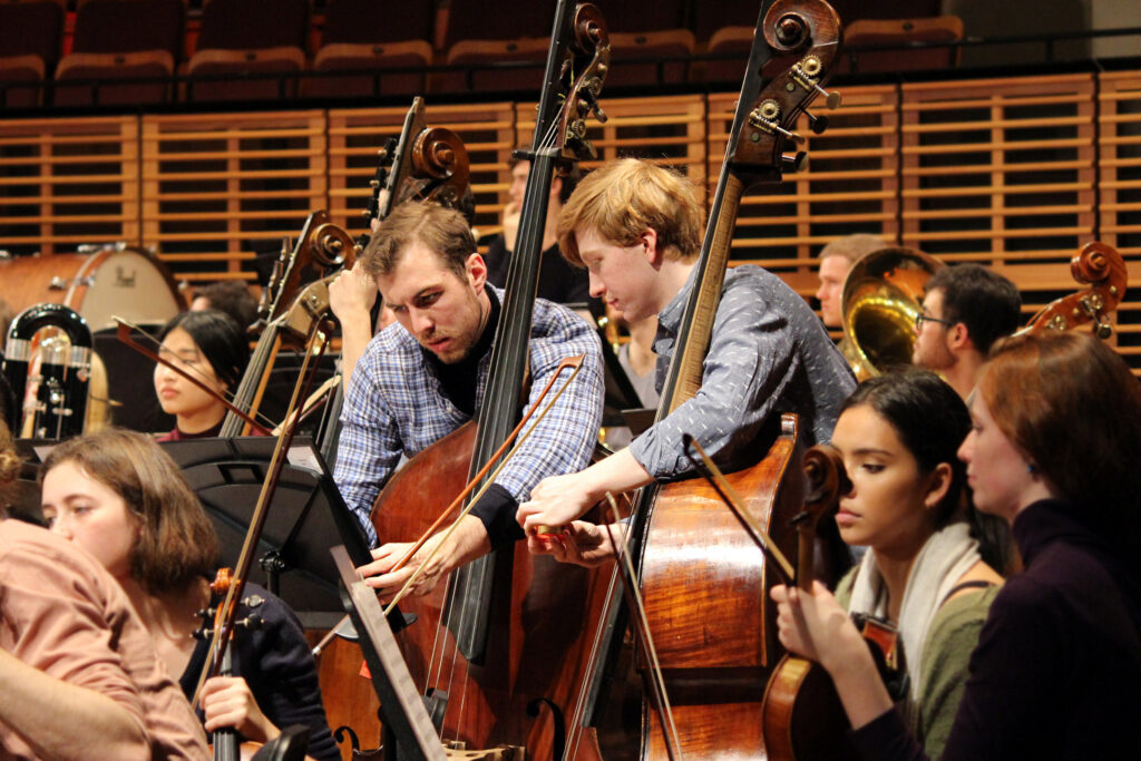 Double bass section of the Australian Youth Orchestra rehearse in Sydney ahead of the July 2018 performance.