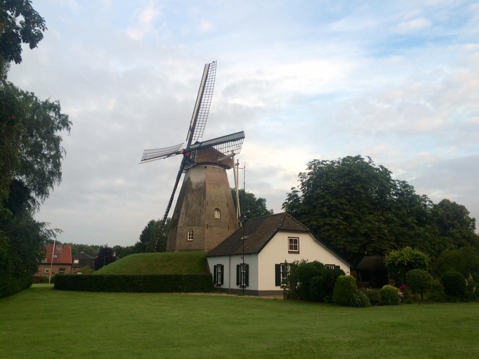 Photo of a cottage and windmill in a picturesque green meadow.