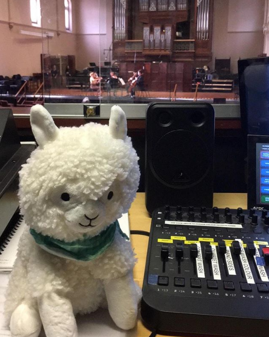 A fluffy white top alpaca, posed next to a venue lighting desk.