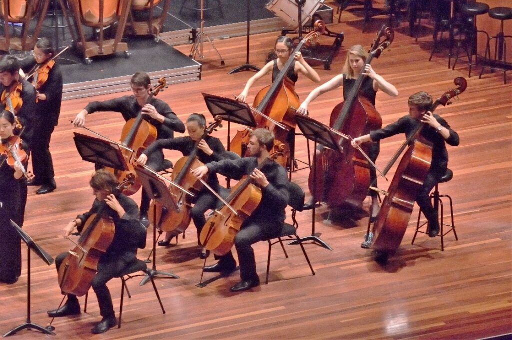 Four cellists and three double-bass players perform on stage as part of a chamber orchestra.