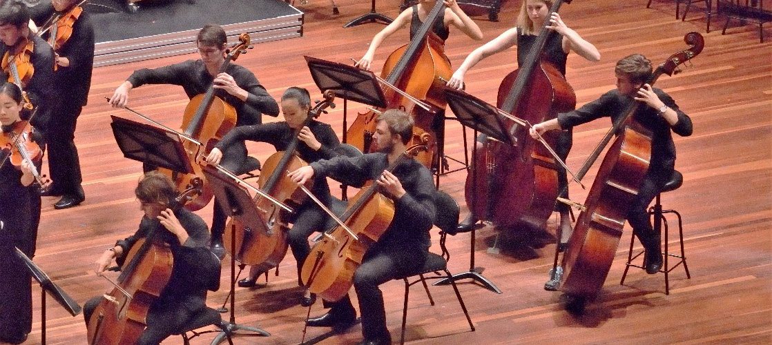 Four cellists and three double-bass players perform on stage as part of a chamber orchestra.